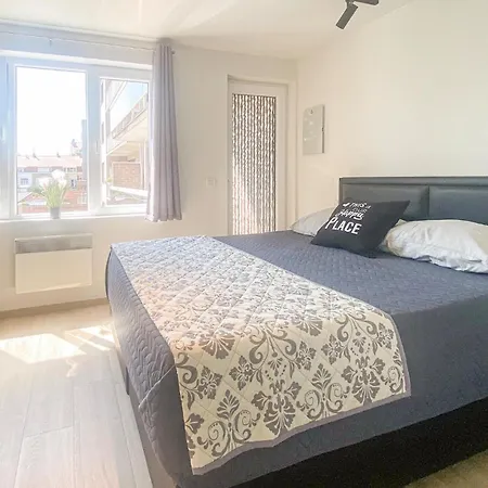 Apartment Cozy In With Wifi