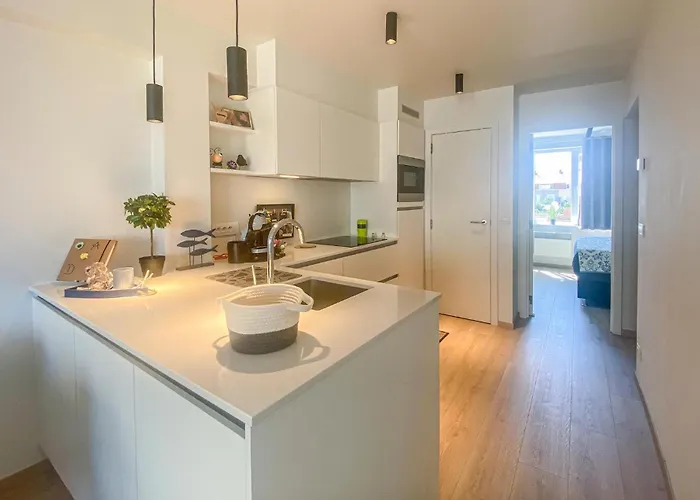 Cozy In With Wifi 公寓 奥斯滕德